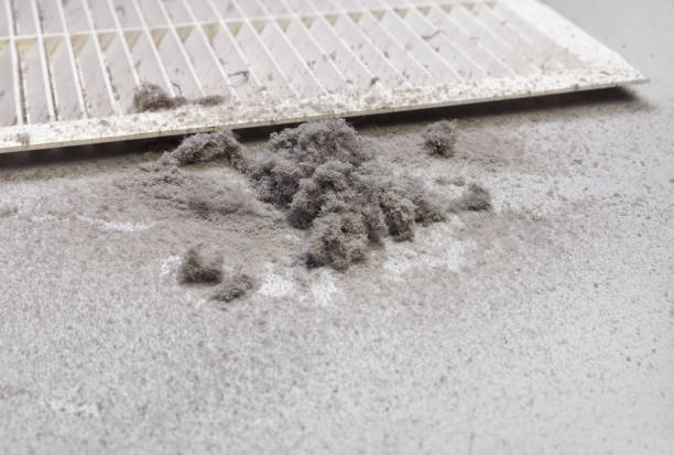 Best HVAC System Cleaning  in Riverview, SC
