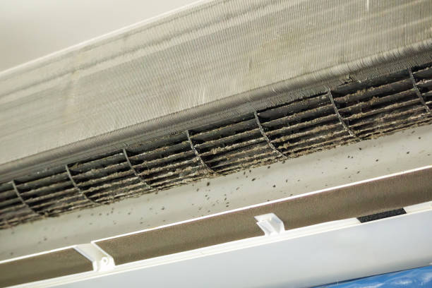 Best Air Quality Test  in Riverview, SC