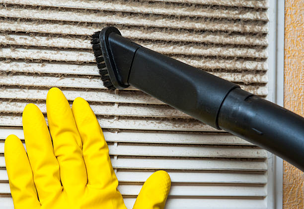 Best Home Air Vent Cleaning  in Riverview, SC